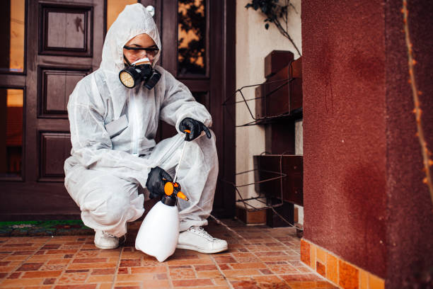 Reliable Cockroach Control contractor in Holly Ridge, NC by Nex Pest Control
