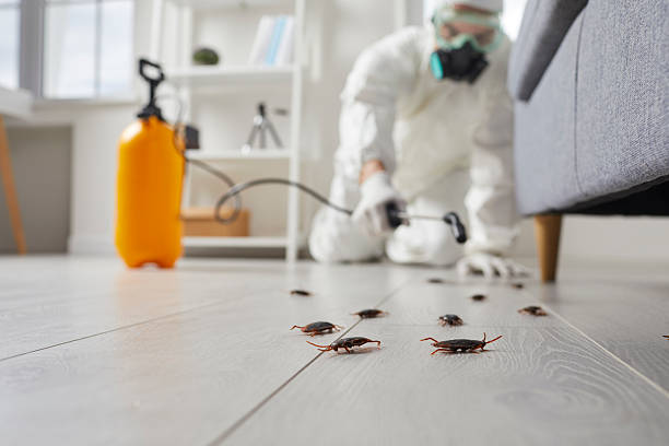 Trusted Cockroach Control service in Holly Ridge, NC - Nex Pest Control