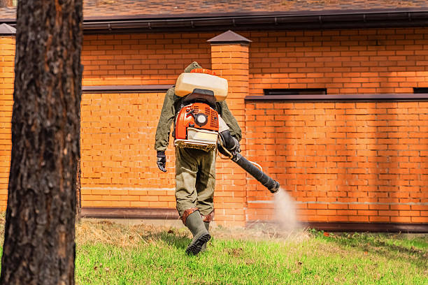 Trusted Mosquito Control service in Holly Ridge, NC - Nex Pest Control